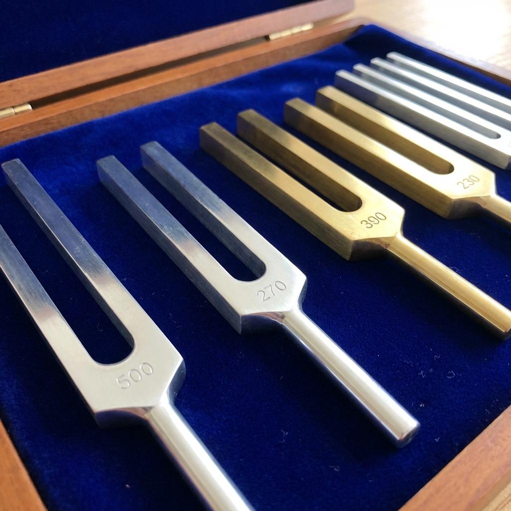 Tuning Fork